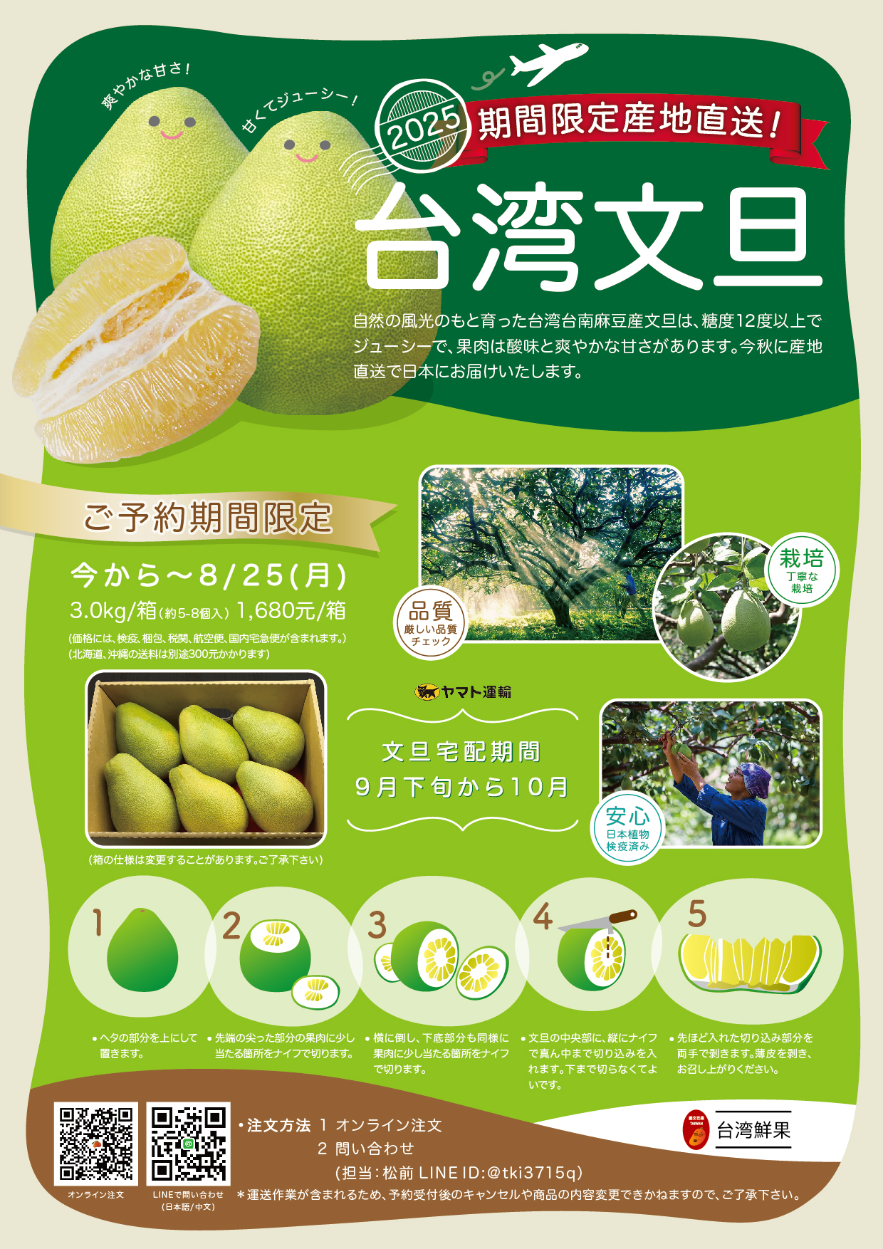 航空輸入+即日発送　　台湾麻豆文旦（ブンタン）　2箱 航空輸入+即日発送 台湾麻豆文旦（ブンタン） 2箱 終了)2025台南麻